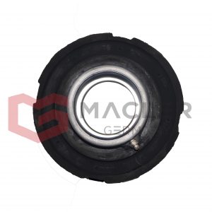 MG042631